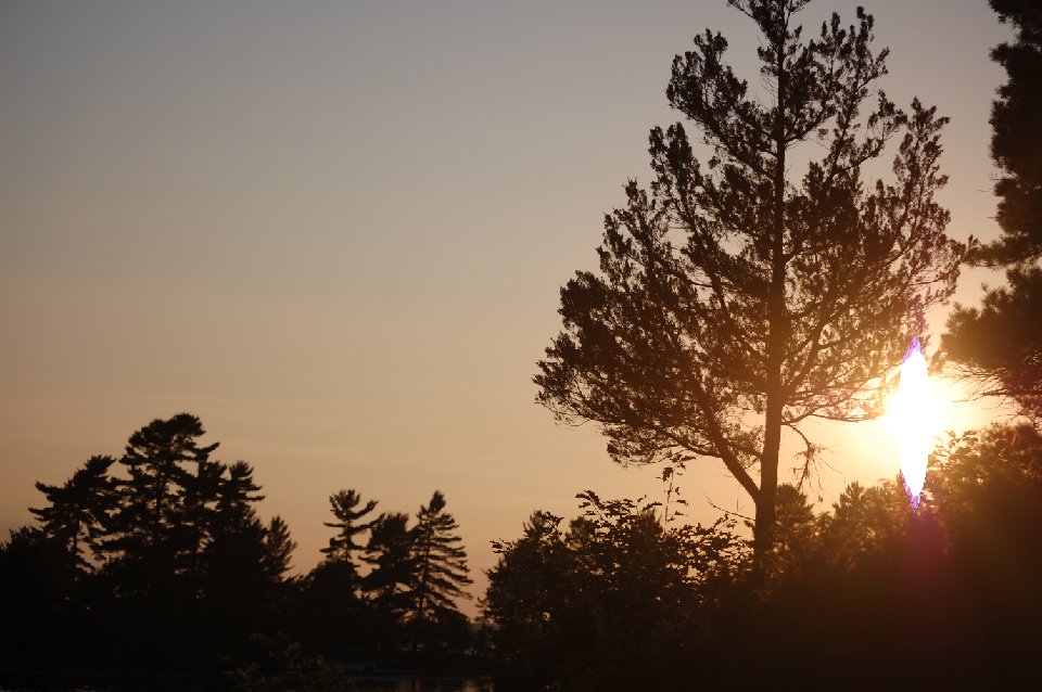 SUMMER (141)